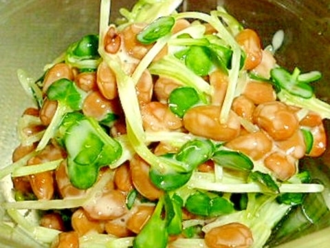 簡単だけど癖になる味☆かいわれ納豆♪